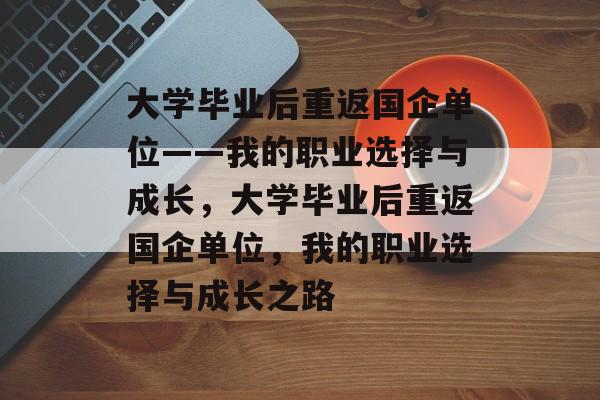 大学毕业后重返国企单位——我的职业选择与成长，大学毕业后重返国企单位，我的职业选择与成长之路