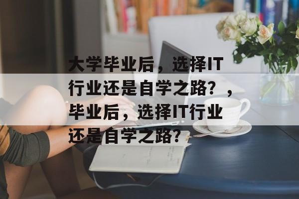 大学毕业后，选择IT行业还是自学之路？，毕业后，选择IT行业还是自学之路？