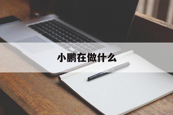 小鹏在做什么