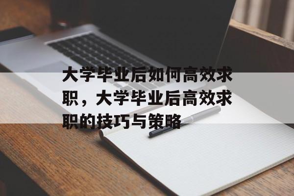 大学毕业后如何高效求职，大学毕业后高效求职的技巧与策略