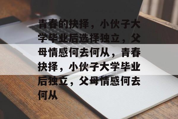 青春的抉择，小伙子大学毕业后选择独立，父母情感何去何从，青春抉择，小伙子大学毕业后独立，父母情感何去何从