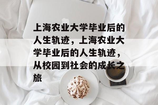 上海农业大学毕业后的人生轨迹，上海农业大学毕业后的人生轨迹，从校园到社会的成长之旅