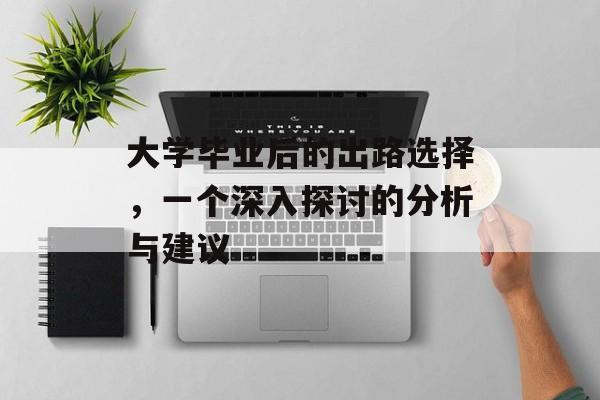 大学毕业后的出路选择，一个深入探讨的分析与建议