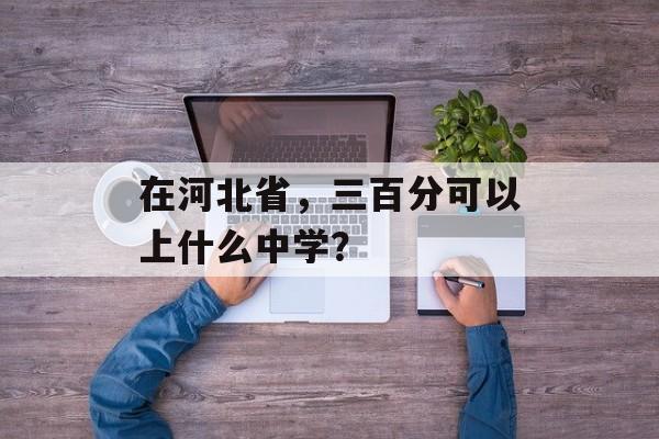 在河北省，三百分可以上什么中学？