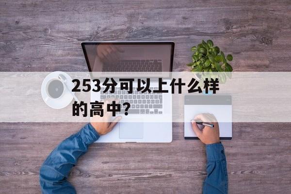 253分可以上什么样的高中？
