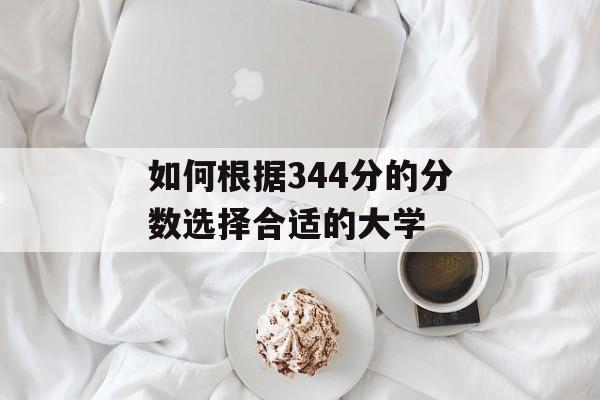 如何根据344分的分数选择合适的大学