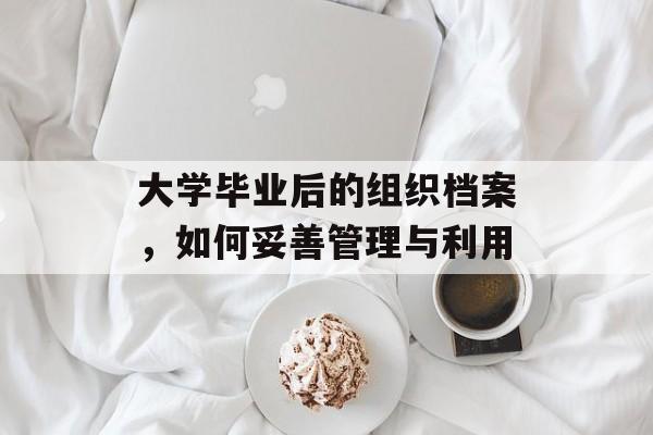 大学毕业后的组织档案，如何妥善管理与利用