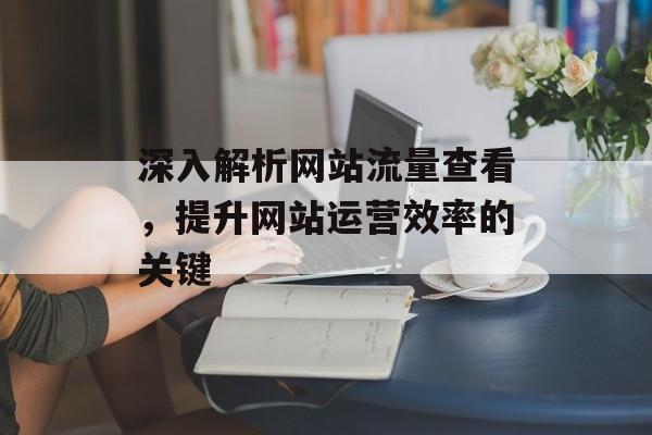 深入解析网站流量查看，提升网站运营效率的关键