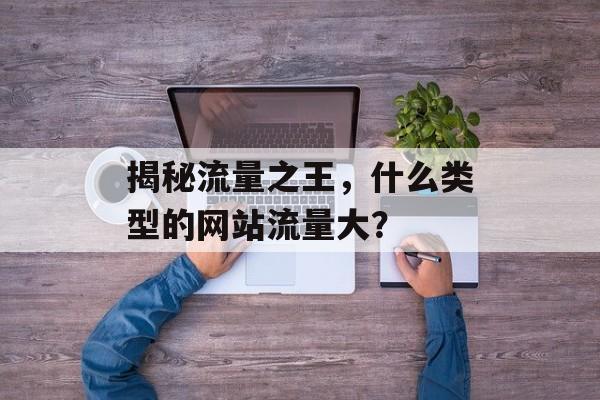 揭秘流量之王，什么类型的网站流量大？