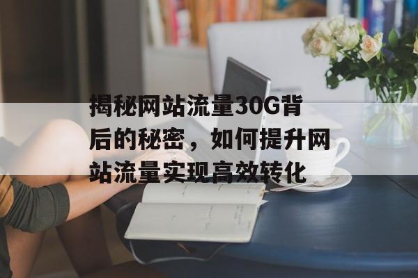 揭秘网站流量30G背后的秘密，如何提升网站流量实现高效转化