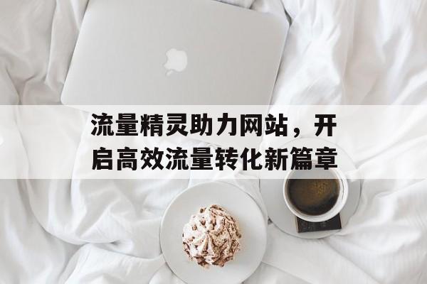 流量精灵助力网站，开启高效流量转化新篇章