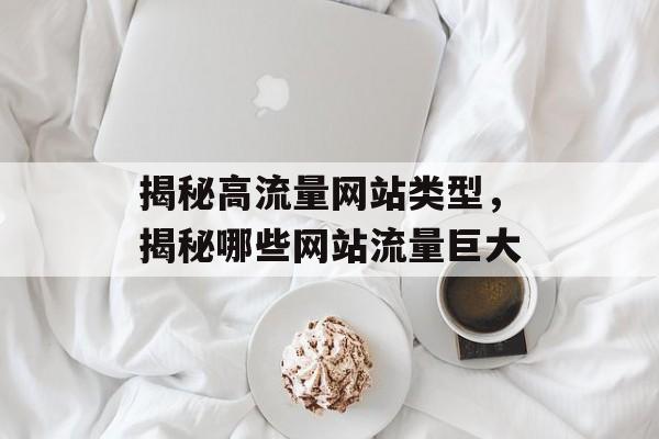 揭秘高流量网站类型，揭秘哪些网站流量巨大