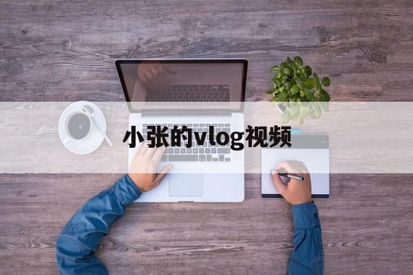 小张的vlog视频