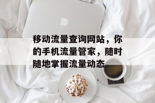 移动流量查询网站，你的手机流量管家，随时随地掌握流量动态