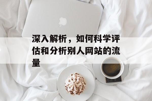深入解析，如何科学评估和分析别人网站的流量