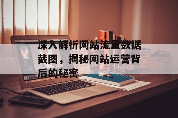 深入解析网站流量数据截图，揭秘网站运营背后的秘密