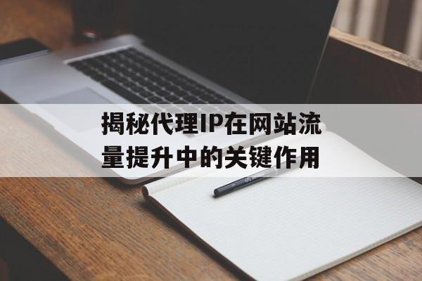 揭秘代理IP在网站流量提升中的关键作用