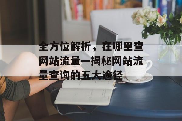 全方位解析，在哪里查网站流量—揭秘网站流量查询的五大途径