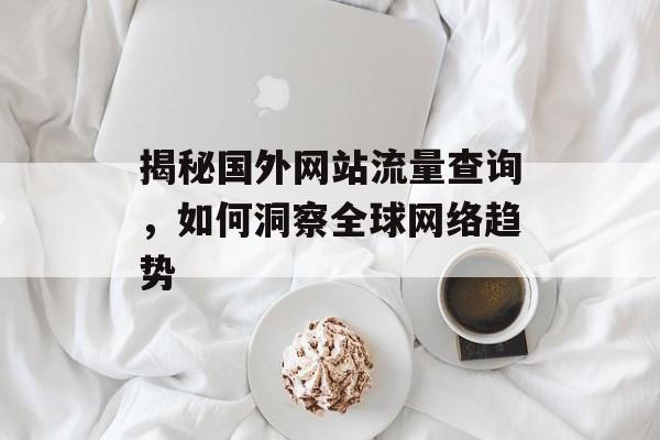 揭秘国外网站流量查询，如何洞察全球网络趋势