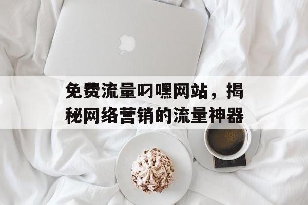 免费流量叼嘿网站，揭秘网络营销的流量神器