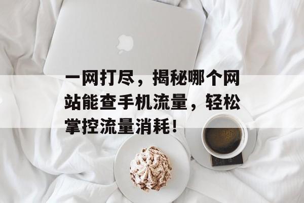一网打尽，揭秘哪个网站能查手机流量，轻松掌控流量消耗！