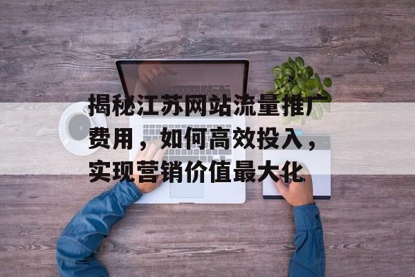揭秘江苏网站流量推广费用，如何高效投入，实现营销价值最大化