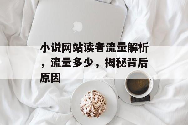 小说网站读者流量解析，流量多少，揭秘背后原因