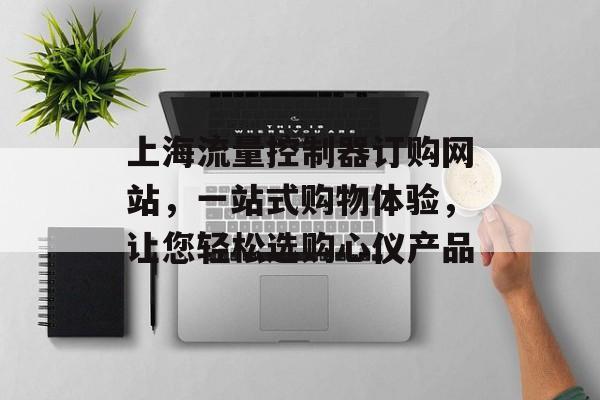 上海流量控制器订购网站，一站式购物体验，让您轻松选购心仪产品