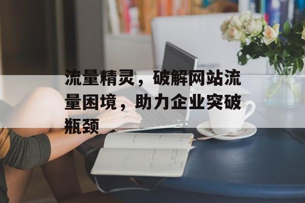 流量精灵，破解网站流量困境，助力企业突破瓶颈