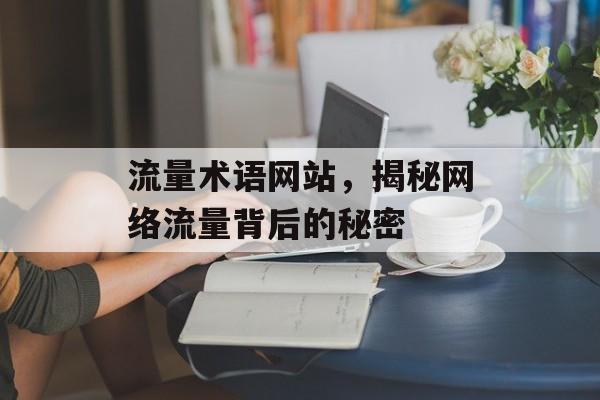 流量术语网站，揭秘网络流量背后的秘密