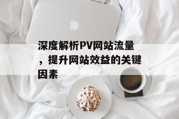 深度解析PV网站流量，提升网站效益的关键因素