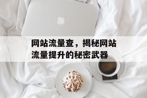 网站流量查，揭秘网站流量提升的秘密武器