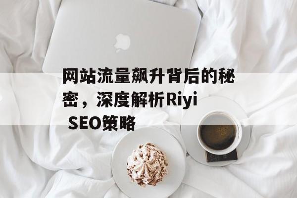 网站流量飙升背后的秘密，深度解析Riyi SEO策略