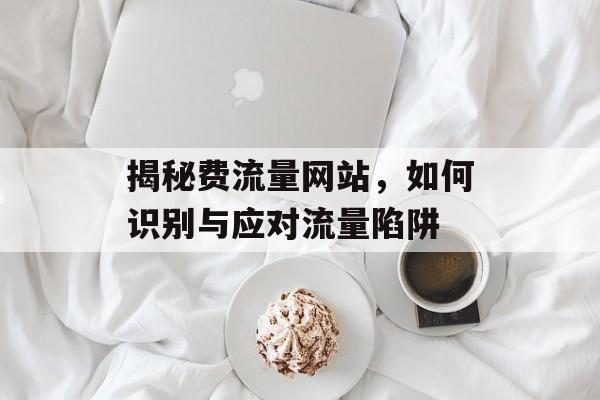 揭秘费流量网站，如何识别与应对流量陷阱