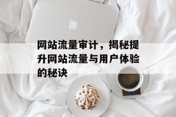 网站流量审计，揭秘提升网站流量与用户体验的秘诀