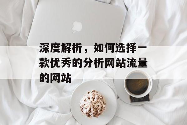 深度解析，如何选择一款优秀的分析网站流量的网站
