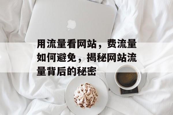 用流量看网站，费流量如何避免，揭秘网站流量背后的秘密