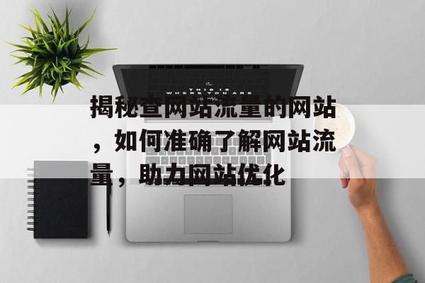 揭秘查网站流量的网站，如何准确了解网站流量，助力网站优化