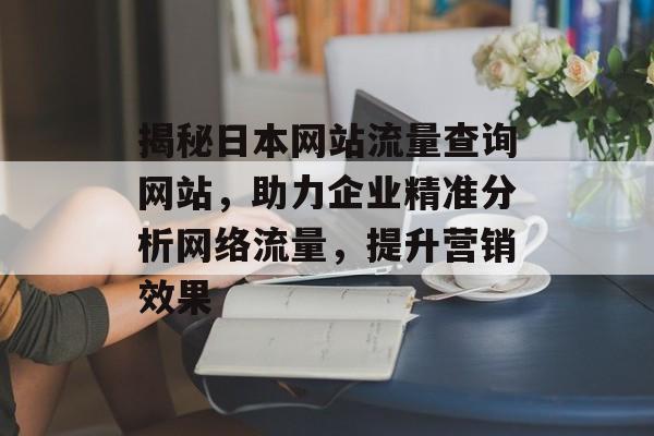 揭秘日本网站流量查询网站，助力企业精准分析网络流量，提升营销效果