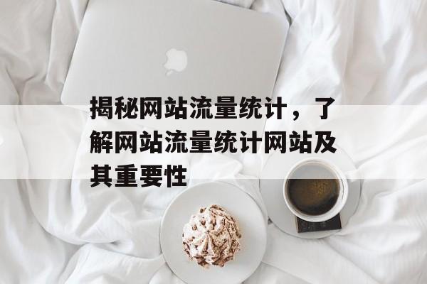 揭秘网站流量统计，了解网站流量统计网站及其重要性