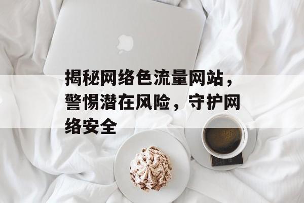 揭秘网络色流量网站，警惕潜在风险，守护网络安全