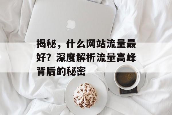 揭秘，什么网站流量最好？深度解析流量高峰背后的秘密