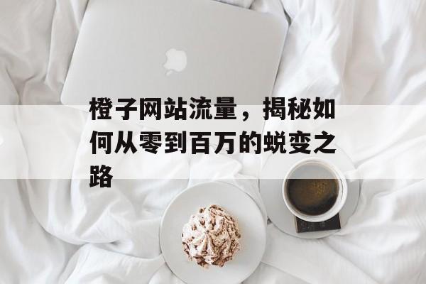 橙子网站流量，揭秘如何从零到百万的蜕变之路