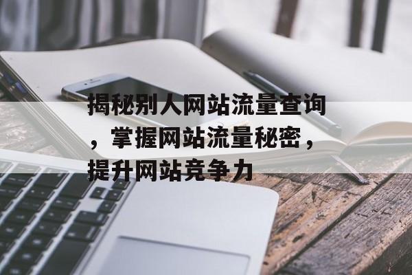 揭秘别人网站流量查询，掌握网站流量秘密，提升网站竞争力