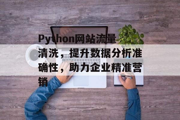 Python网站流量清洗，提升数据分析准确性，助力企业精准营销
