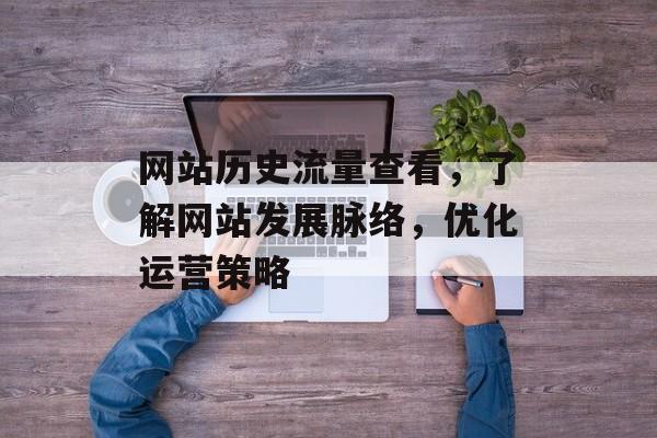 网站历史流量查看，了解网站发展脉络，优化运营策略