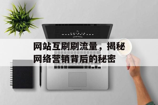 网站互刷刷流量，揭秘网络营销背后的秘密