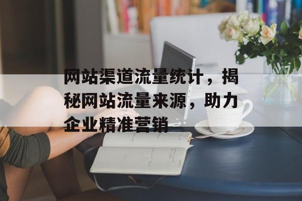 网站渠道流量统计，揭秘网站流量来源，助力企业精准营销