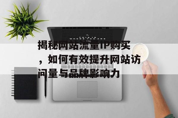 揭秘网站流量IP购买，如何有效提升网站访问量与品牌影响力
