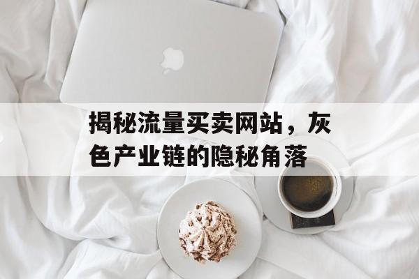 揭秘流量买卖网站，灰色产业链的隐秘角落